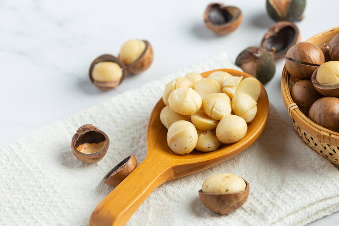 Useful properties of macadamia nuts